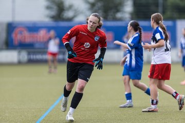 Bild 134 - wBJ Hamburger SV - FC Suederelbe : Ergebnis: 9:0